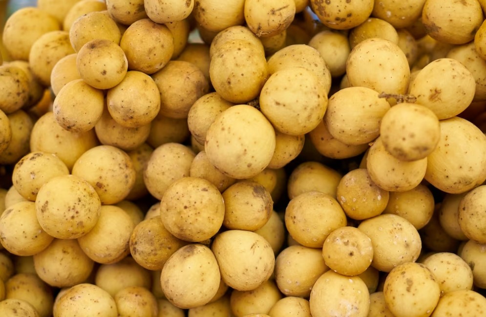 Польза и вред картофеля: полезные свойства, витамины и влияние на организм 